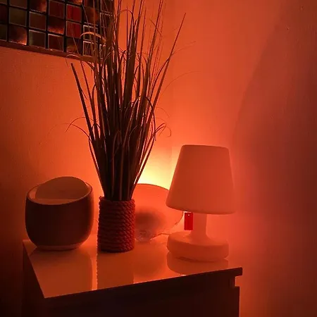 Un Nid A Tropez Saint-Tropez