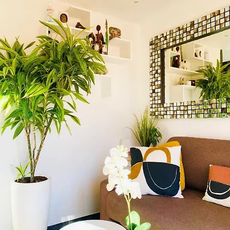 Un Nid A Tropez Appartement *