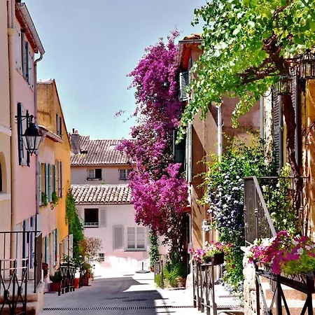 公寓 Un Nid A Tropez 圣特罗佩