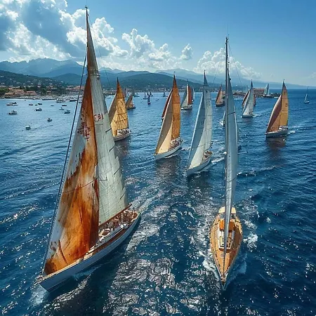 Lejlighed Un Nid A Tropez