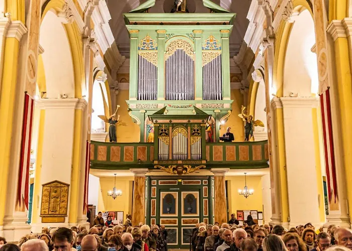 Un Nid à Tropez Appartement Saint-Tropez