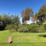 Un Nid à Tropez