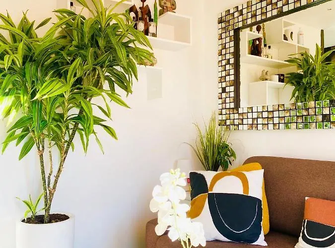 Un Nid A Tropez Appartement *