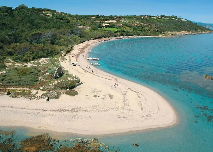 Appartement Un Nid A Tropez *